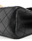 Aged Calfskin Lucky Charms 2.55 Reissue 225 Flap Black