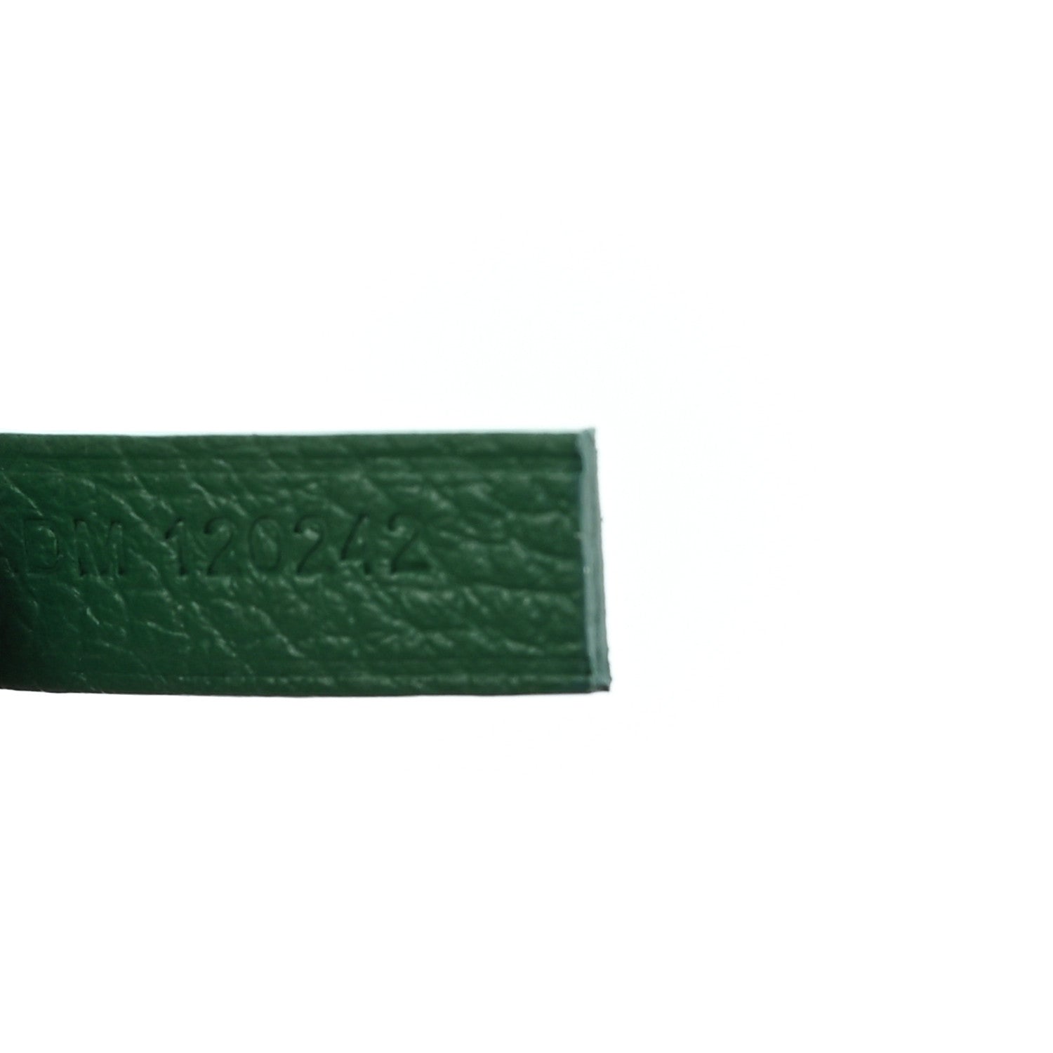 Goyardine Saint Louis PM Green