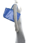 Goyardine Saint Louis PM Sky Blue