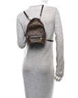 Monogram Palm Springs Backpack Mini