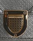 Snakeskin D1ORama Wallet on Chain Pouch Silver