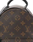 Monogram Palm Springs Backpack Mini
