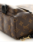 Monogram Palm Springs Backpack Mini