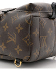 Monogram Palm Springs Backpack Mini