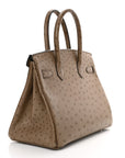 Ostrich Birkin 30 Mousse
