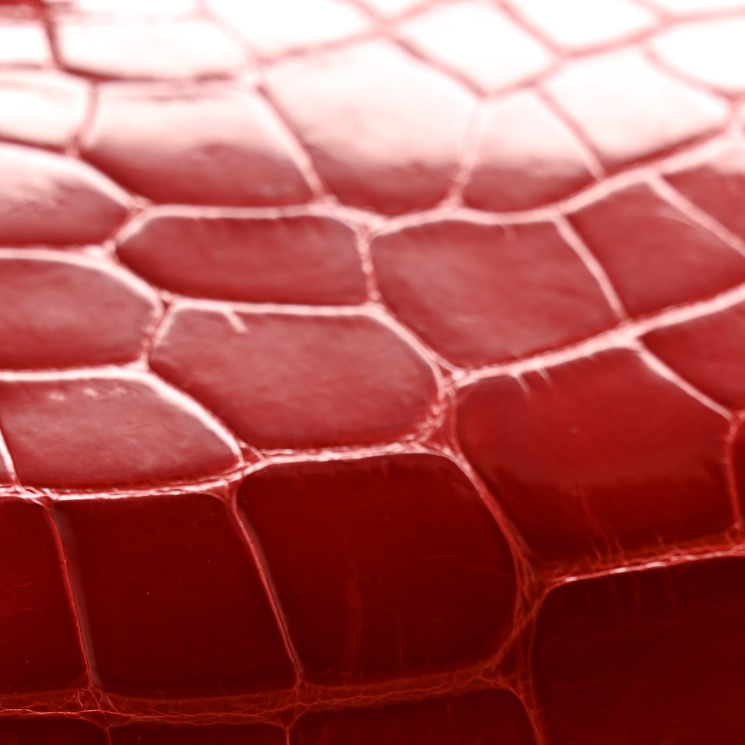Shiny Alligator Azap Wallet Geranium