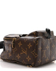 Monogram Palm Springs Backpack Mini
