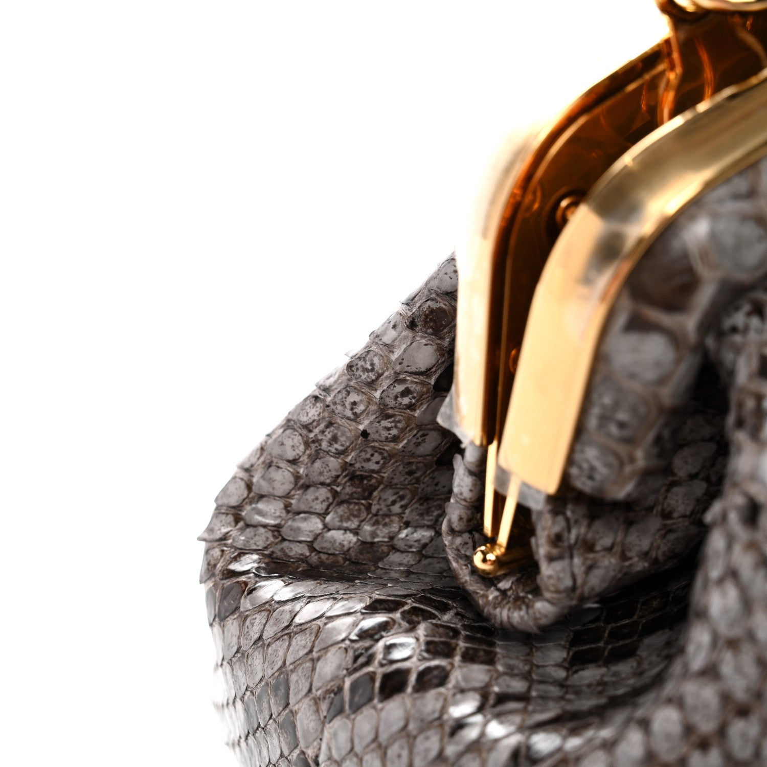 Snakeskin Small FNDI First Asfalto
