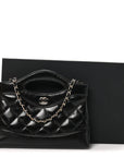 Shiny Crumpled Calfskin Quilted Nano 31 Shopping Bag Black