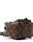 Monogram Palm Springs Backpack Mini