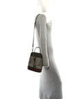 GG Supreme Monogram Web Small Ophidia Bucket Bag Brown