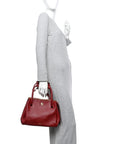 Supple Calfskin Medium Madrid Bag Dark Burgundy
