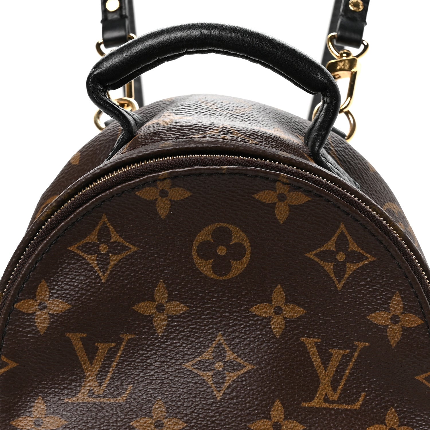 Monogram Palm Springs Backpack Mini