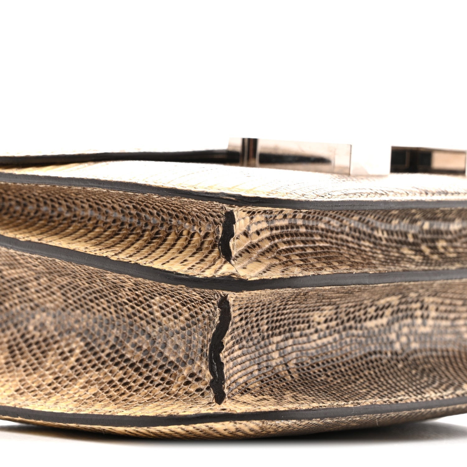 Lizard Constance 18 Ombre