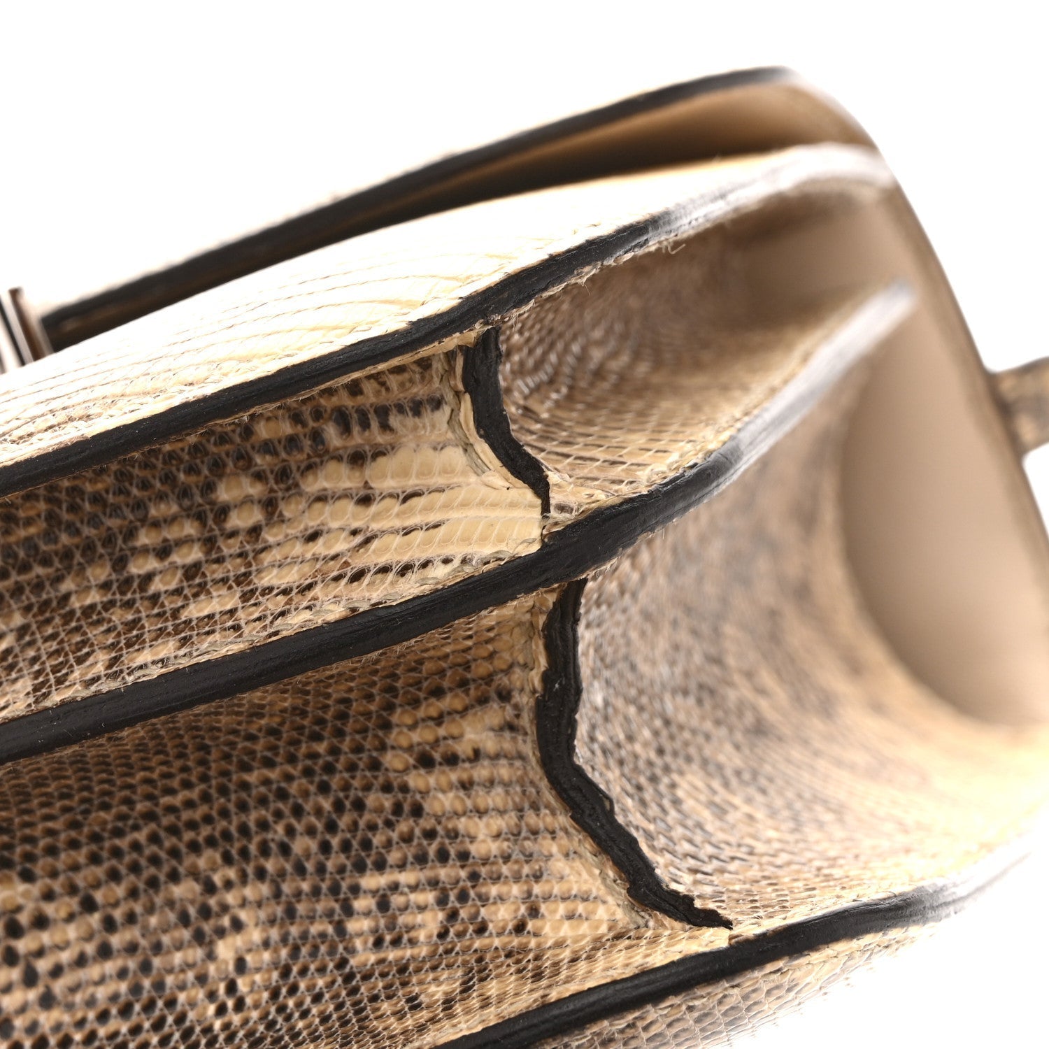Lizard Constance 18 Ombre
