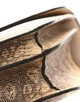Lizard Constance 18 Ombre