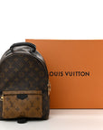 Reverse Monogram Palm Springs Backpack PM