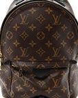 Monogram Palm Springs Backpack PM