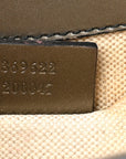 Shine GCCIssima Mini Emily Chain Shoulder Bag Sasso