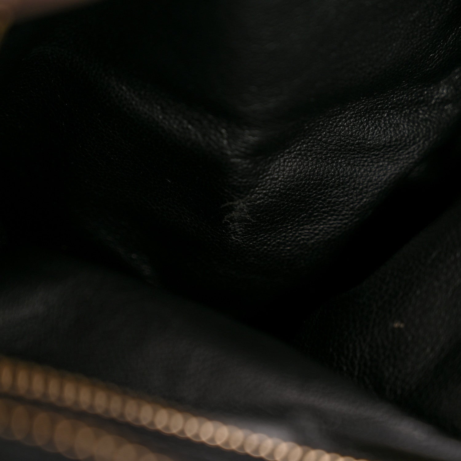 Snakeskin Large Luggage Black