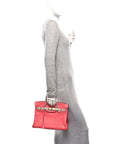 Chevre Mysore Horseshoe Birkin 30  Rose Lipstick Gris Perle