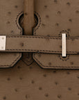 Ostrich Birkin 30 Mousse