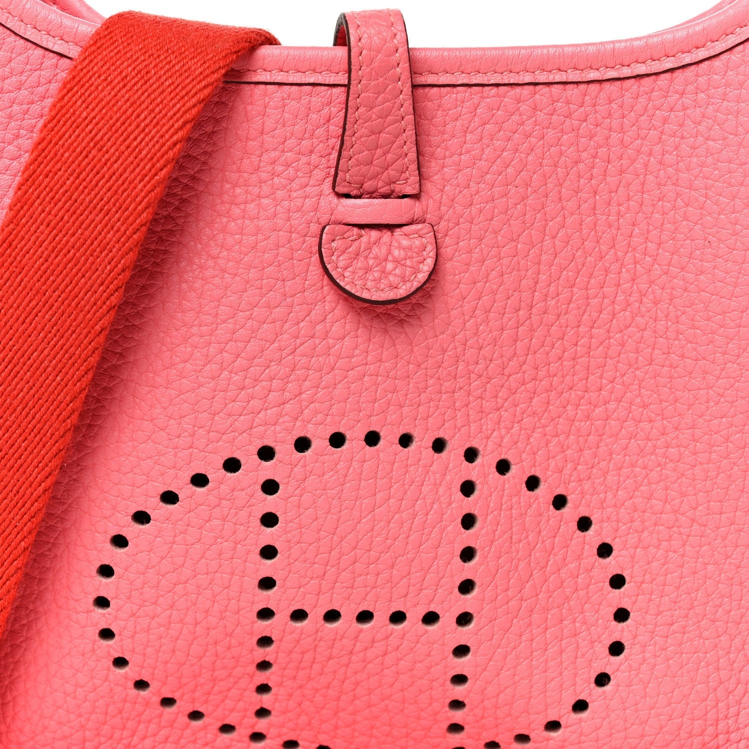 Taurillon Clemence Amazone Evelyne TPM Rose Azalee Rouge Pivoine