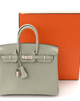 Togo Birkin 25 Gris Neve