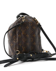 Monogram Palm Springs Backpack Mini