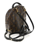 Monogram Palm Springs Backpack Mini