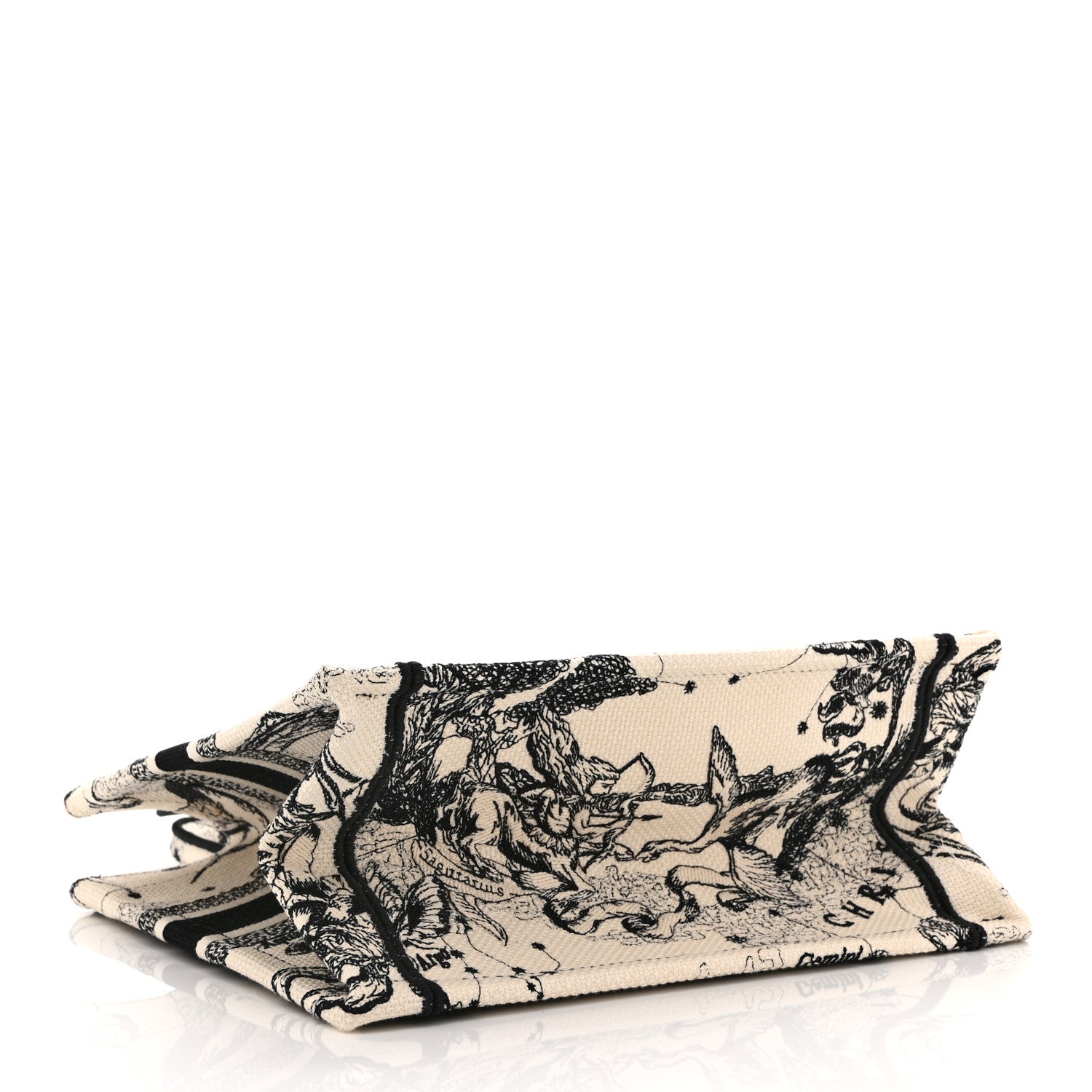 Canvas Embroidered Small Zodiac Toile De Jouy Book Tote Latte