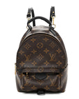 Monogram Palm Springs Backpack Mini