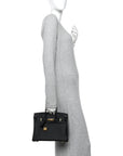Togo Birkin 25 Black