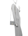 Snakeskin D1ORama Wallet on Chain Pouch Silver
