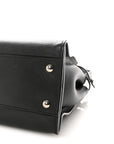 Vitello Dolce Shiny Nappa Plexglass Granite Medium Peekaboo Iconic Satchel Black