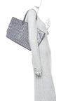Goyardine Saint Louis PM Grey