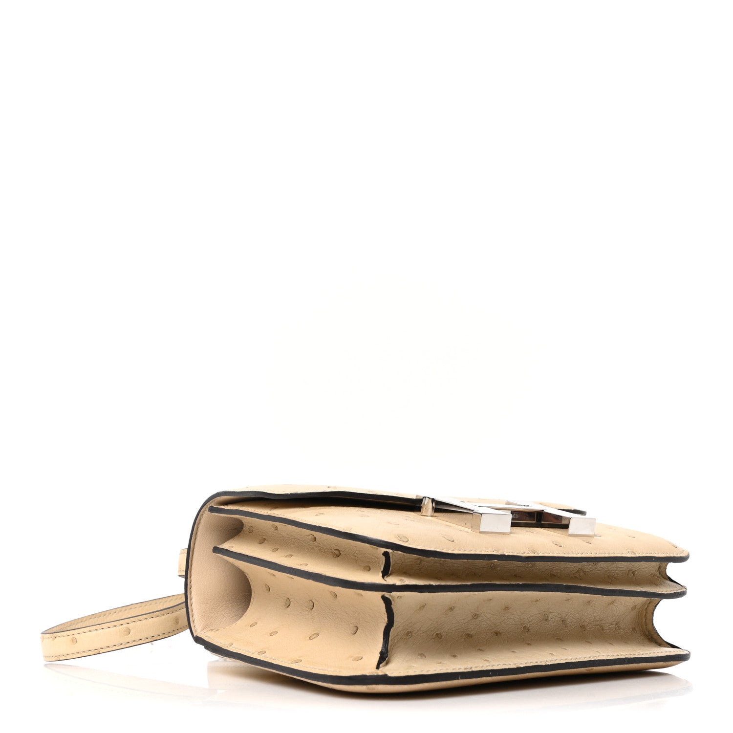 Ostrich Constance 18 Parchemin