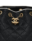 Braided Raffia Calfskin Small CHNL 25 Handbag Black White