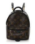 Monogram Palm Springs Backpack Mini