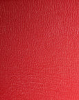 Ostrich Birkin 30 Rouge Vif