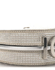 Crystal Vitello Laminato Suede FF Nano FNDIgraphy Hobo Charm Grey