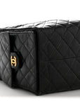 Shiny Crumpled Calfskin Quilted Medium CHNL 25 Handbag Black