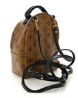 Reverse Monogram Palm Springs Backpack Mini
