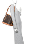 Monogram Petit Noe NM