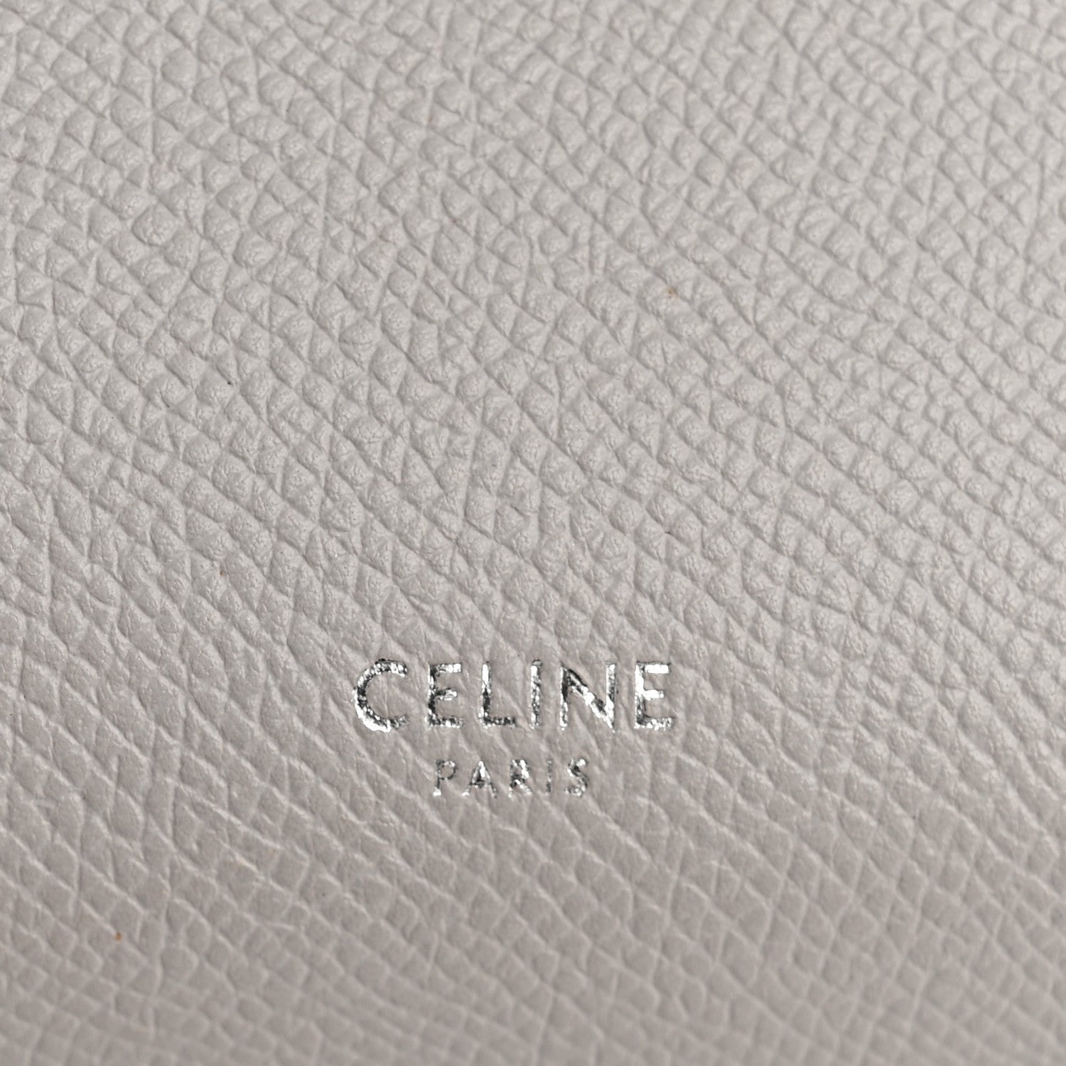 Grained Calfskin Nano Belt Bag Mineral
