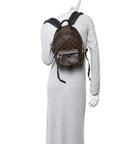 Monogram Palm Springs Backpack PM