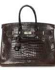 Shiny Porosus Crocodile Birkin 35 Havane