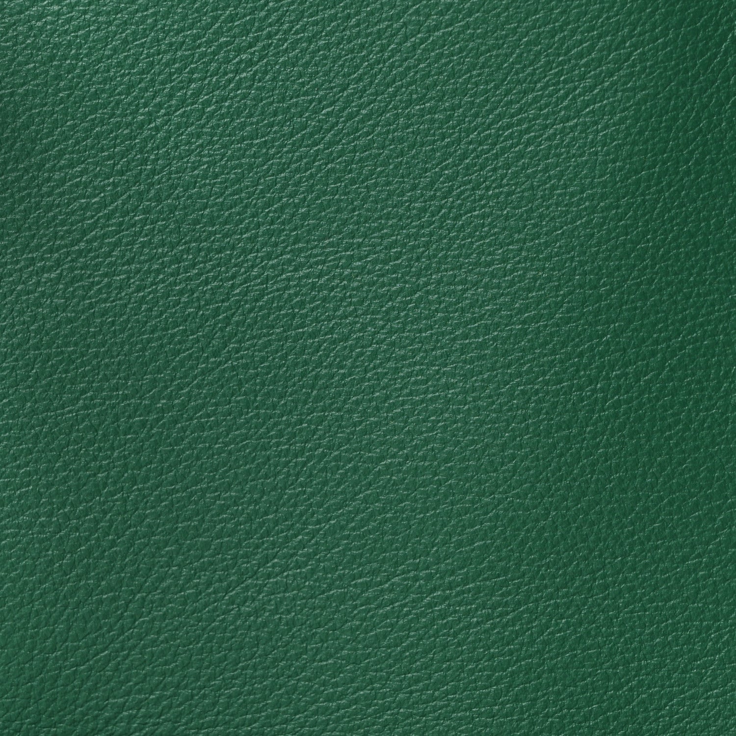 Goyardine Reversible Mini Anjou Green