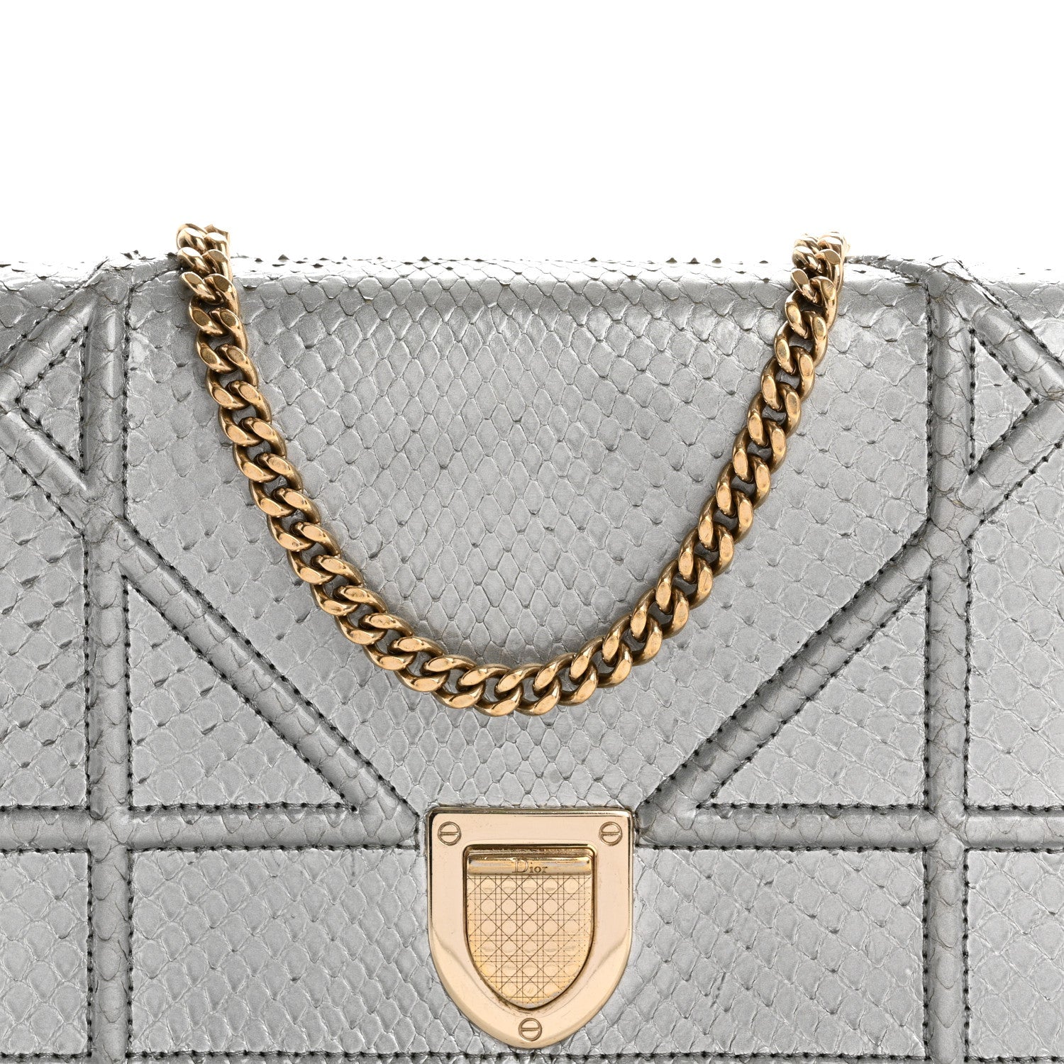 Snakeskin D1ORama Wallet on Chain Pouch Silver