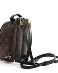 Monogram Palm Springs Backpack Mini